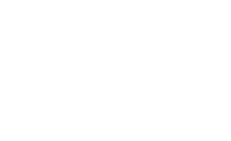 nuerburgring esports logo